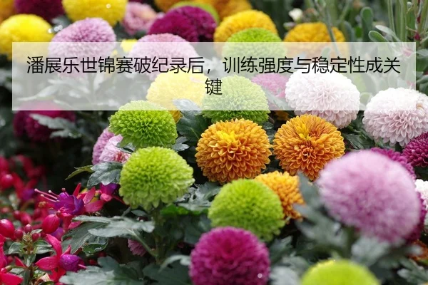 潘展乐世锦赛破纪录后，训练强度与稳定性成关键