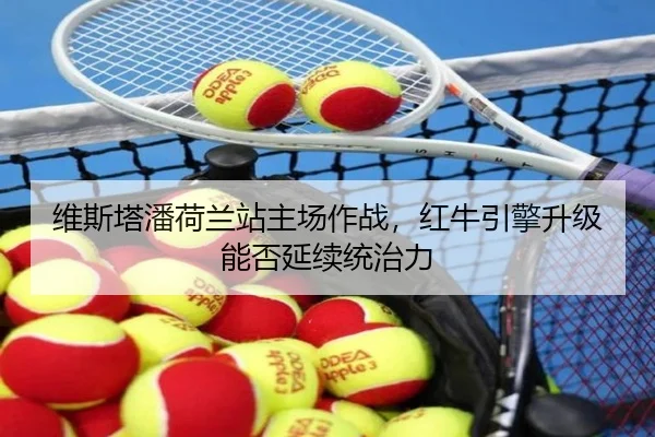wei-si-ta-pan-he-lan-zhan-zhu-chang-zuo-zhan-hong-niu-yin-qing-sheng-ji-neng-fou-yan-xu-tong-zhi-li-2-469.jpg