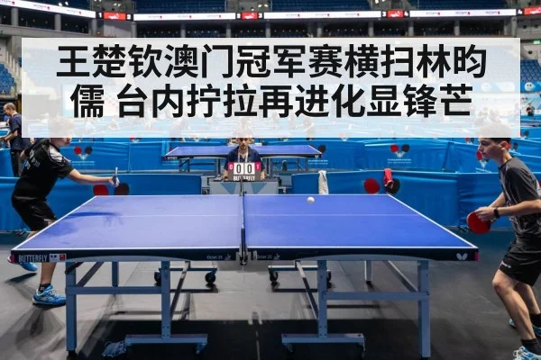 王楚钦澳门冠军赛横扫林昀儒 台内拧拉再进化显锋芒