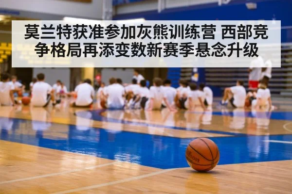 basketball training camp