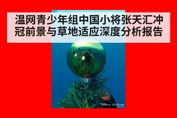 温网青少年组中国小将张天汇冲冠前景与草地适应深度分析报告